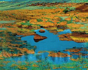 Natural Abstractions